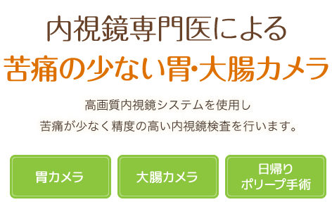 内視鏡専門医による苦痛の少ない胃・大腸カメラ高画質内視鏡システムを使用し苦痛が少なく精度の高い内視鏡検査を行います。胃カメラ・大腸カメラ・日帰りポリープ手術